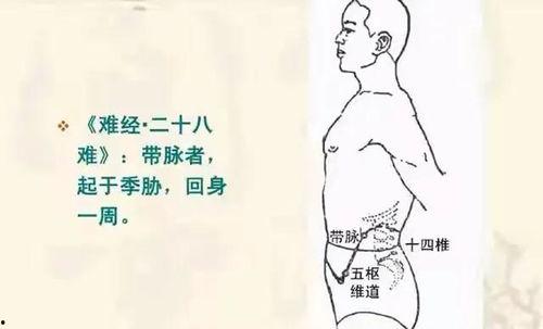 拍打带脉视频,轻松养生，唤醒身体活力