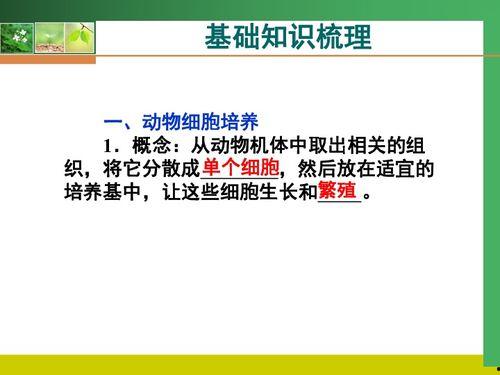生物一轮复习视频,深入解析生命奥秘之旅