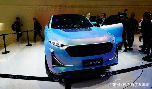 哈佛魏视频,视频内容核心观点与启示