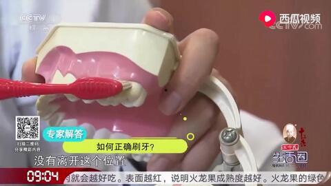 刷牙教程视频,跟随教程视频，告别口腔问题